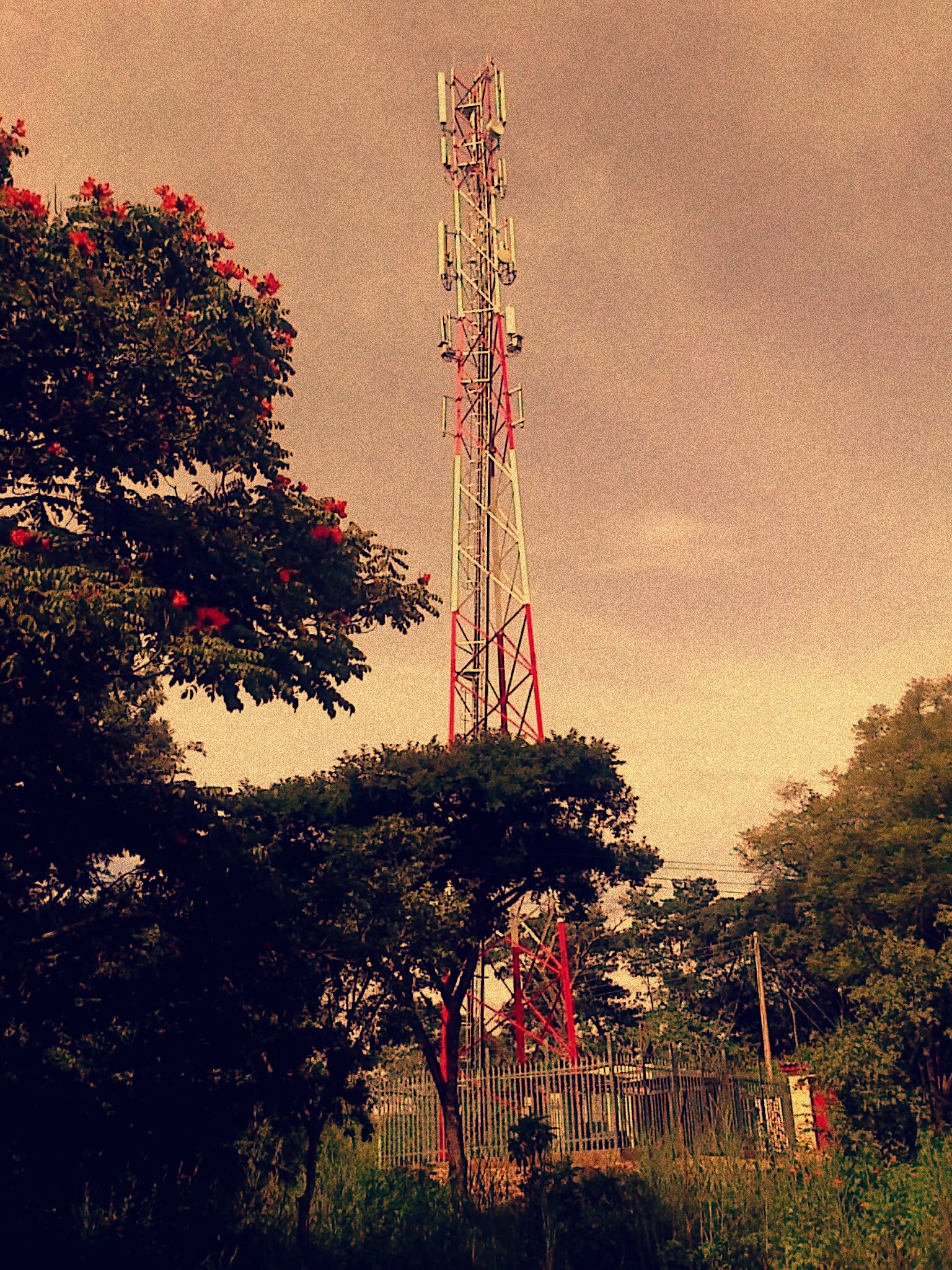 Penggalak rangkaian Econet Wireless di Zimbabwe